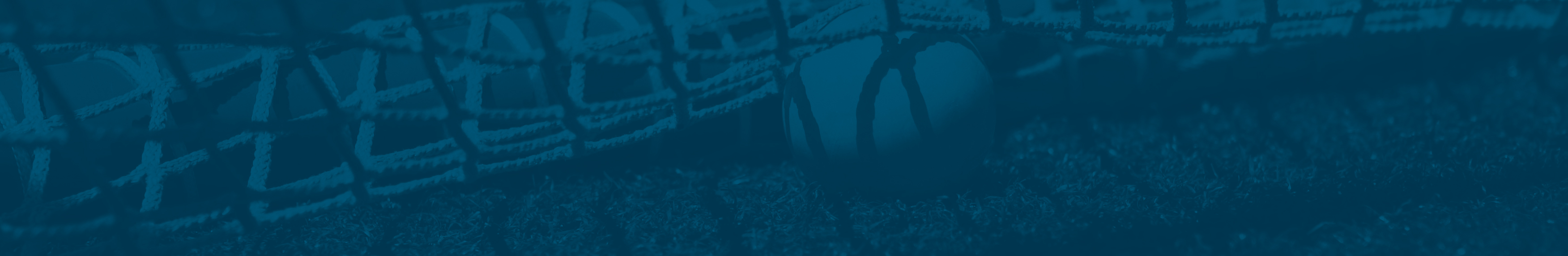 Close-up of a lacrosse stick net and ball against a dark blue tinted background